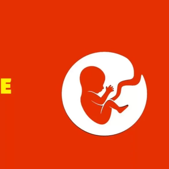 BitLife Simulator